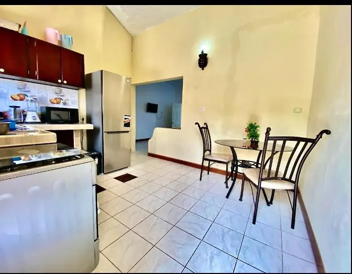 876 Oasis - A Private Oceanview Villa Ocho Ríos Pensión