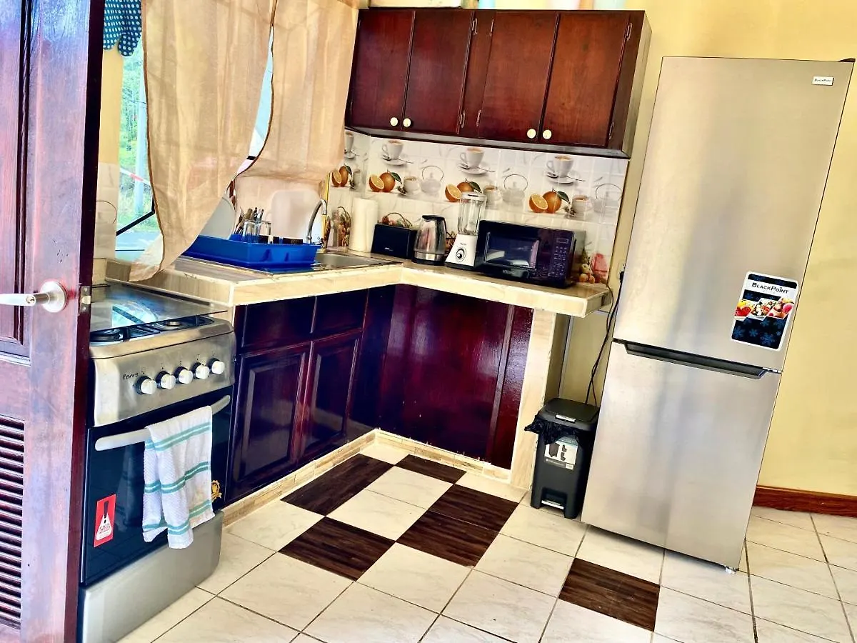 876 Oasis - A Private Oceanview Villa Ocho Rios 0*,