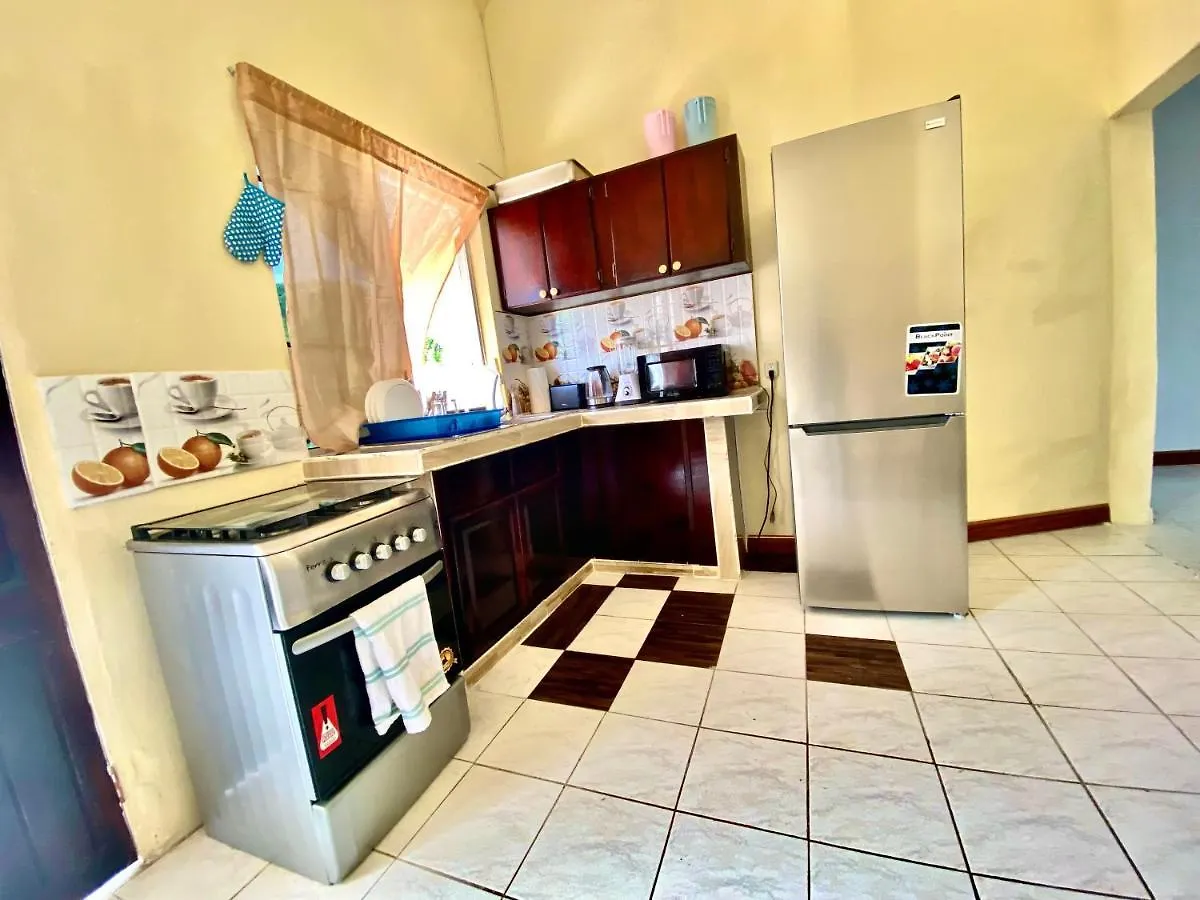 Pensionat 876 Oasis - A Private Oceanview Villa Ocho Rios